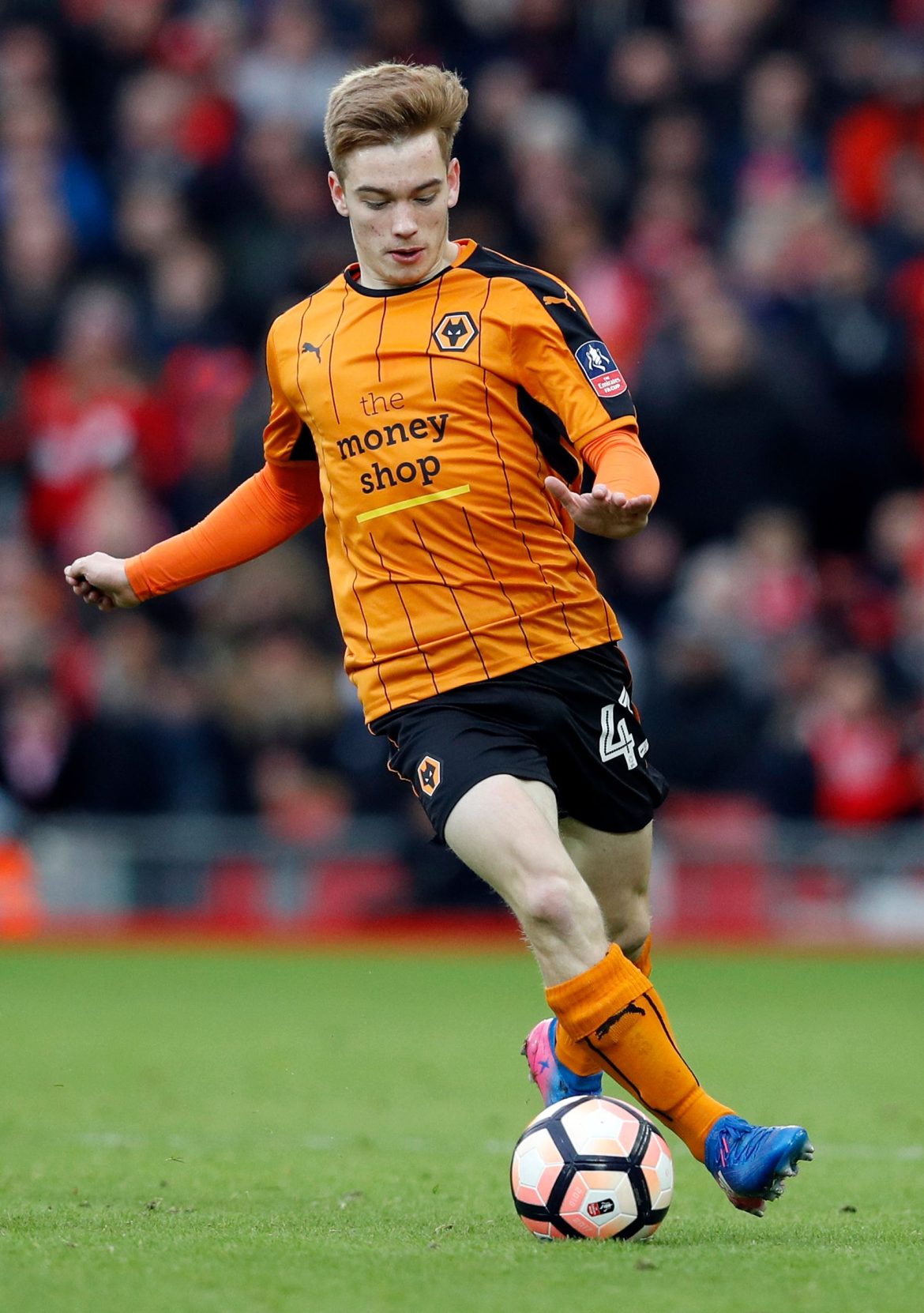 Wolves can save millions with Connor Ronan